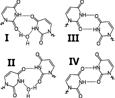 Sequence-Dependent Dynamics of U:U Mismatches in RNA Revealed by Molecular Dynamics Simulations