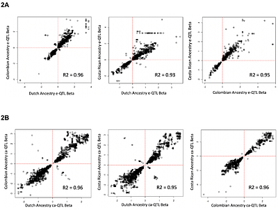 Quantitative trait loci mapping of gene expression and chromatin accessibility in primary fibroblast reveals shared allelic effects between Latin American and European ancestries