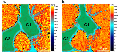 Multiparametric Correlative Topographical and Volumetric Fluorescence Microscopy