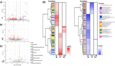 Do heatwaves impact mosquitoes? Multi-level analyses across developmental stages in Aedes albopictus