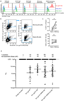 Virus glycoprotein nanodisc platform for vaccine design