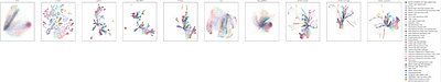 A framework for quantifiable local and global structure preservation in single-cell dimensionality reduction