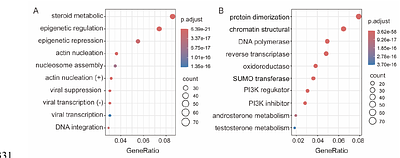 Chromosome-level genome assembly of Calotes wangi with dynamic colour variation