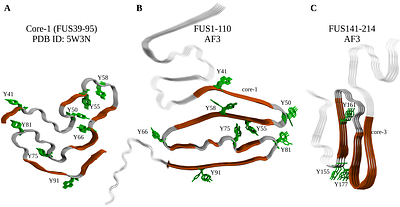 Droplet growth, Ostwald's rule, and emergence of order in Fused in Sarcoma