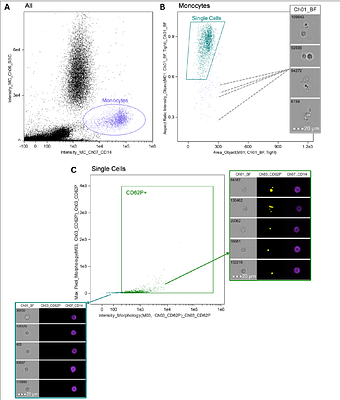 An imaging flow cytometry method to study platelet-monocyte aggregates using Long COVID as a model
