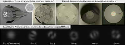 Combining spectroscopy and wavefront control at deep contrast with photonic lanterns