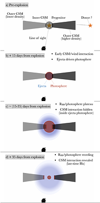 Luminous, rapidly declining supernovae as stripped transitional objects
  in low metallicity environments: the case of SN 2022lxg