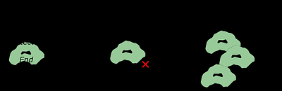 Identification of a FANCD2-interacting protein motif (DIP-box) linking DNA Damage Response processes