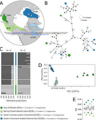 Tracing the drivers of range-wide bowhead whale genomic structure and diversity