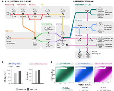 ECHO: a nanopore sequencing-based workflow for (epi)genetic profiling of the human repeatome