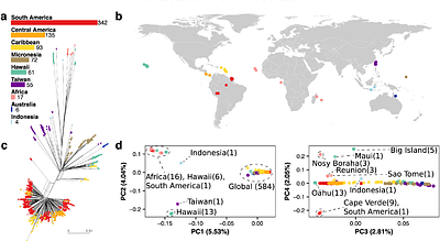 Global genomic diversity of the selfing nematode Caenorhabditis tropicalis correlates with geography