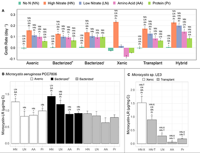 THE DUAL ROLE OF THE MICROCYSTIS AERUGINOSA MICROBIOME ON CYANOTOXIN PRODUCTION: COMPETITION FOR AND REMINERALIZATION OF ORGANIC NITROGEN