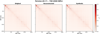 SNPgen: Phenotype-Supervised Genotype Representation and Synthetic Data Generation via Latent Diffusion