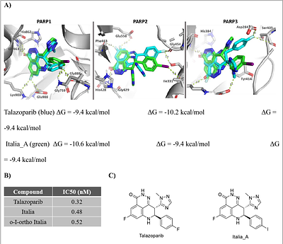 Italia: A PARP-Directed Auger Electron-Emitting Agent for Targeted Radionuclide Therapy of Cancer