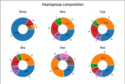 Co-mutation based genetic networks to infer temporal mutation dynamics in ancient human mitochondrial genomes