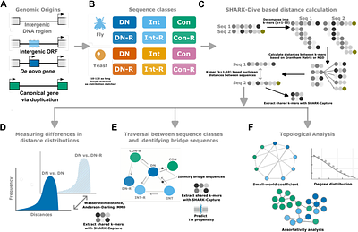 How are evolutionarily young and old proteins distributed in sequence space?