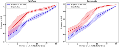 CrisisMatch: Semi-Supervised Few-Shot Learning for Fine-Grained Disaster
  Tweet Classification