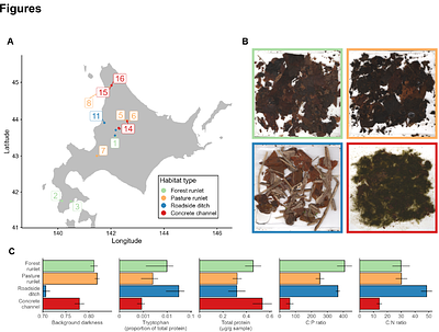 Nutritional effects on the expression of cryptic pigmentation in freshwater isopods