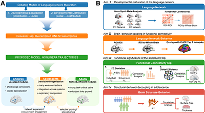 Nonlinear trajectories of language network development