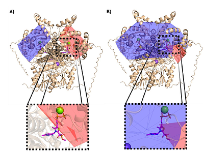 MInt-HDX: Leveraging Hydrogen-Deuterium Exchange Mass Spectrometry and Machine-Learning to Improve Protein-Ligand Docking.
