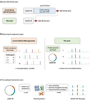 Machine learning-guided discovery of a conserved plasmid proteomic signature enables MALDI-TOF MS detection of pOXA-48-carrying Enterobacterales