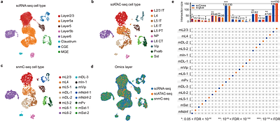 scCross: Bridging Modalities in Single-cell Multi-omics - Seamless Integration, Cross-modal Synthesis, and In-silico Exploration