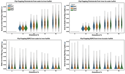 Interplay Between Cholesterol Concentration and Membrane Curvature in Liposomes Revealed by Molecular Dynamics Simulations