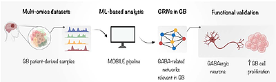 Gene regulatory networks linked to GABA signalling emerge as relevant for glioblastoma pathogenesis