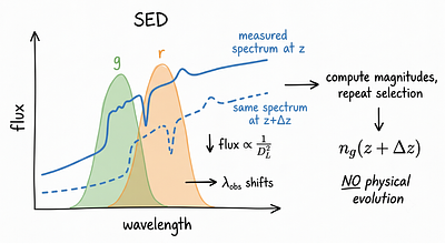 Breaking the $f_{\text{NL}}$--$b_φ$ degeneracy with the time evolution of tracer number counts