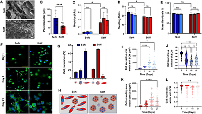 Extracellular Matrix Physical Properties Regulate Cancer Cell Morphological Transitions in 3D Hydrogel Microtissues