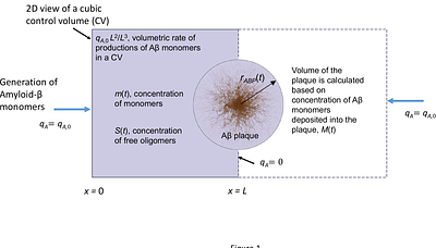 Investigating a Relation between Amyloid Beta Plaque Burden and Accumulated Neurotoxicity Caused by Amyloid Beta Oligomers