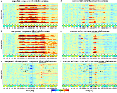 Expectation Consecutively boosts Neural Processing of Expected and Unexpected Visual Information