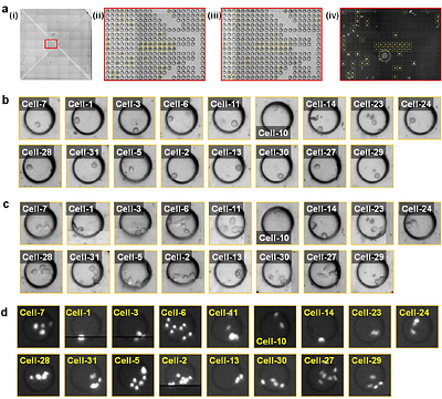 A microfluidic platform for multi-marker profiling of extracellular vesicles from single-cell-derived clones