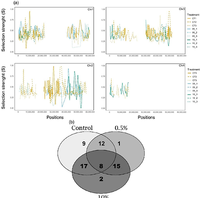 Beyond acute toxicity: evolutionary response by rapid polygenic adaptation to a complex environmental stressor in Chironomus riparius