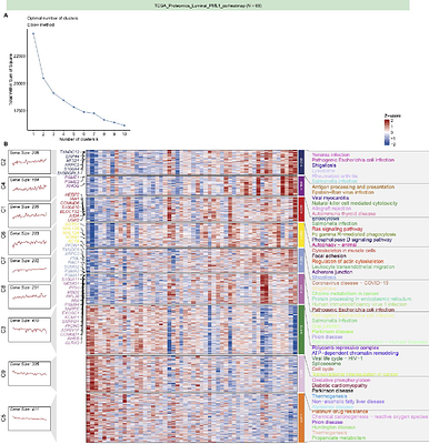 PML1-Mediated Feedforward Loop Through PI3K and MAPK Axes Drives Endocrine Resistance