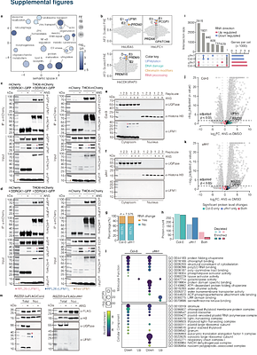 UFMylation anchors splicing factors at the ER to reprogram nuclear splicing