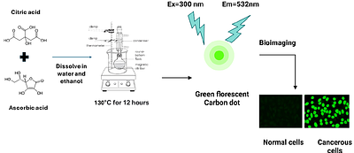 Engineered Fluorescent Carbon Dots for Selective Cellular Bioeffects: A Comparative Study of Cancer and epithelial Cells
