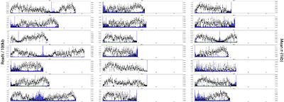 Recombination on 'non-recombining' sex chromosomes: empirical insights from the blackspotted stickleback