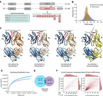 High-Throughput Machine Learning-Aided Antibody Discovery for Cell Surface Antigens