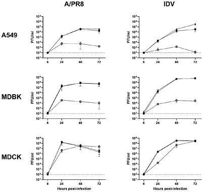 Serine proteases are required to activate influenza D virus haemagglutinin-esterase fusion (HEF) protein