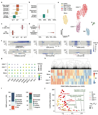 Droplet-compatible single-cell DNA methylation sequencing with PreTIC