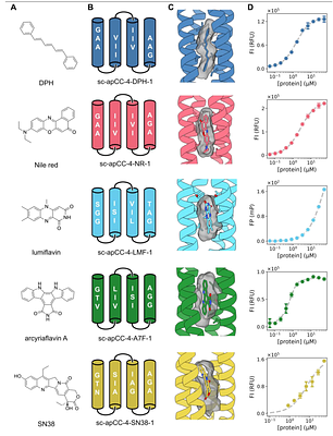 Rapid Assessment of Size, Shape, and Chemical Complementarity of Ligands for Computational Protein Design