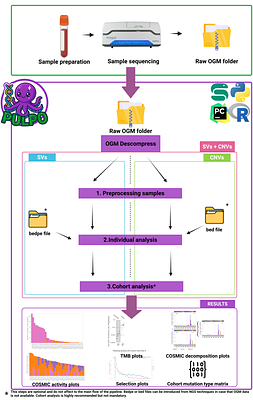 PULPO: Pipeline of understanding large-scale patterns of oncogenomic signatures