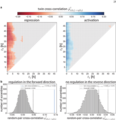 Leveraging Twin Information for Inference of Gene Regulatory Networks