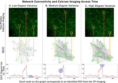 Time-Resolved Neuronal Network Dynamics Distinguish Pathological States in Organoid Models