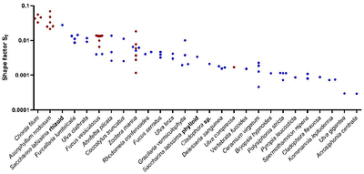 Sedimentation and drag in drifting macrophytes and plastic objects: A model