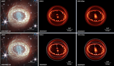 Tracing the ejecta structure of SN 1987A: Insights and diagnostics from
  3D MHD simulations
