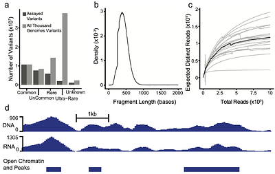 Structured Pooling Improves Detection of Rare Regulatory Mutations in Population-Scale Reporter Assays