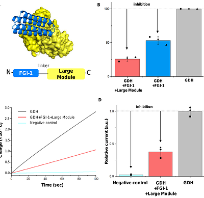 AI-guided Protein Inhibitor Design for Modulating FAD-dependent Glucose Dehydrogenase Redox Output