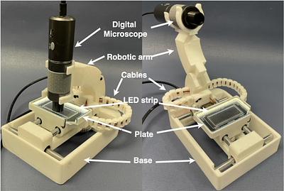 Rotiferometer: an automated system for quantification of rotifer cultures